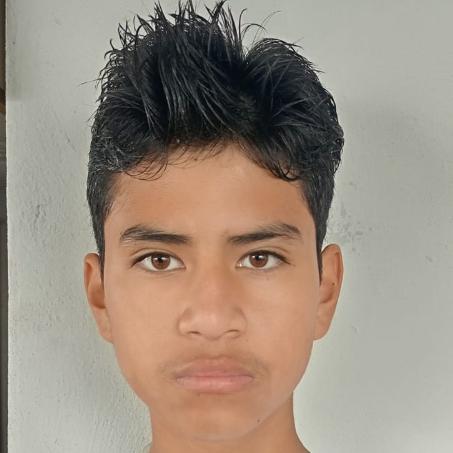 User Image
